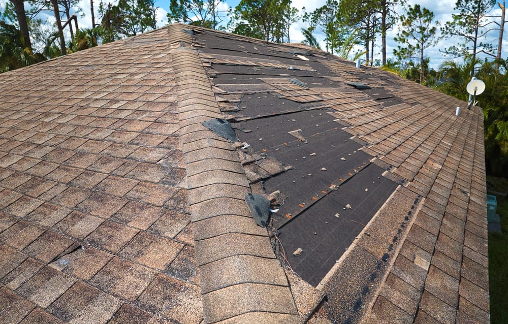 Roof Repair in Mt Dora FL